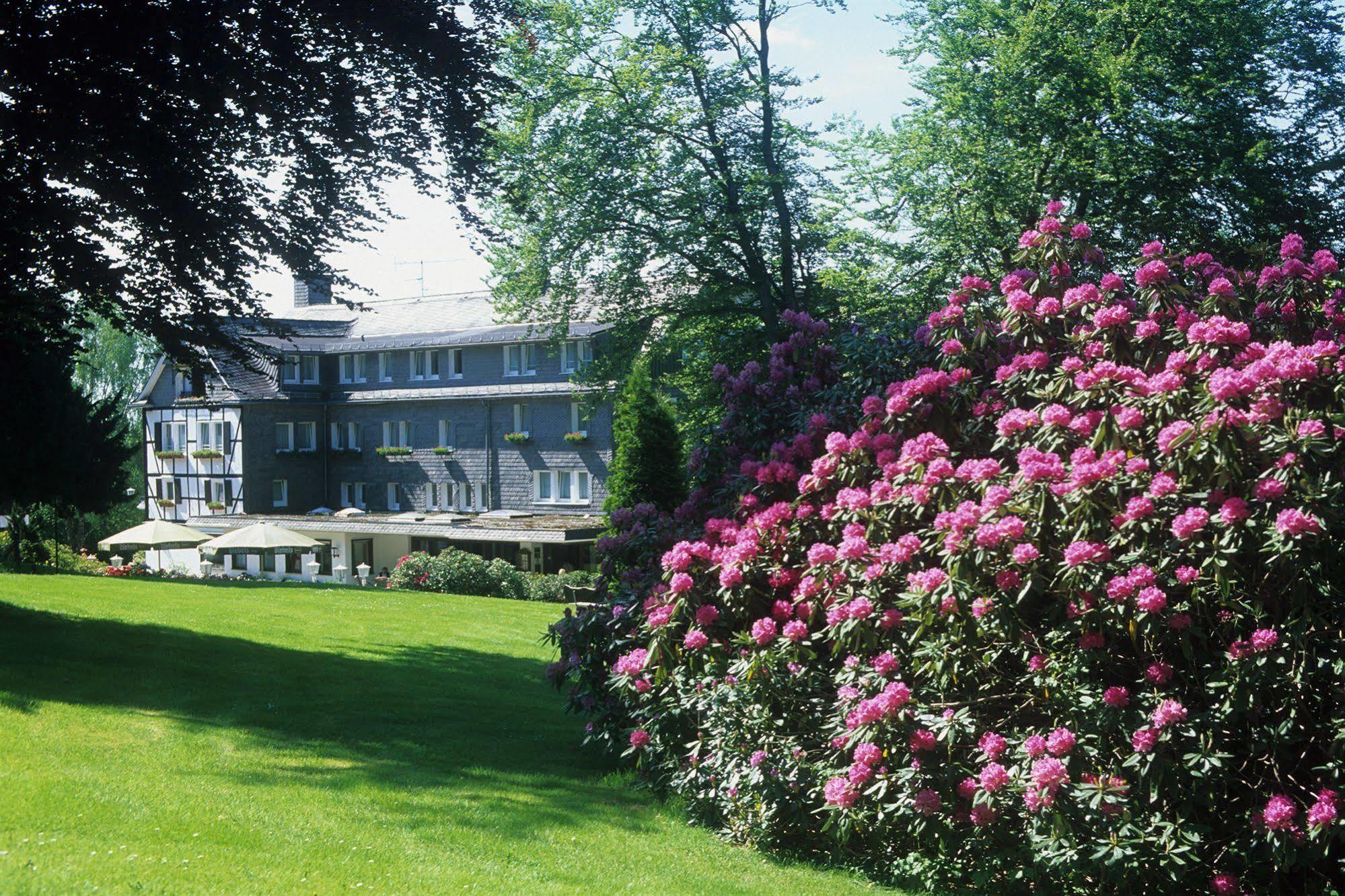 Hotel Jagdhaus Wiese Schmallenberg Esterno foto